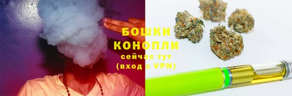 ешки Каменногорск