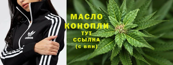 ешки Каменногорск
